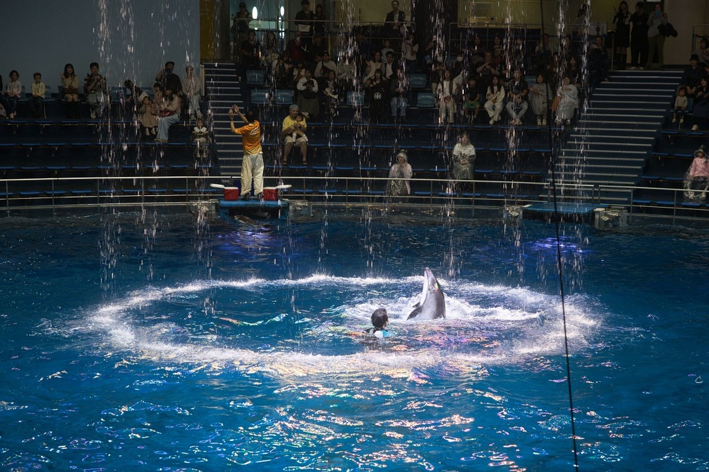 あの日あの時あの場所で