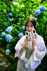 紫陽花の初夏