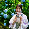 紫陽花の初夏