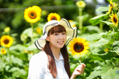 ひまわり娘
