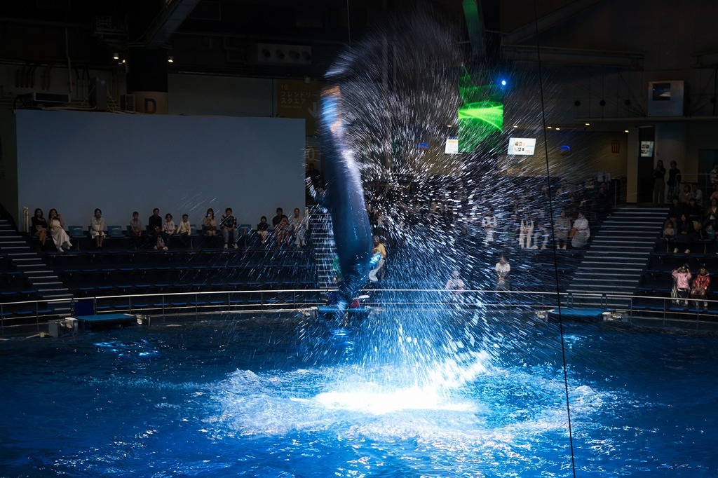 水族館徘徊記録