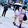 桃色収集作業　（３）