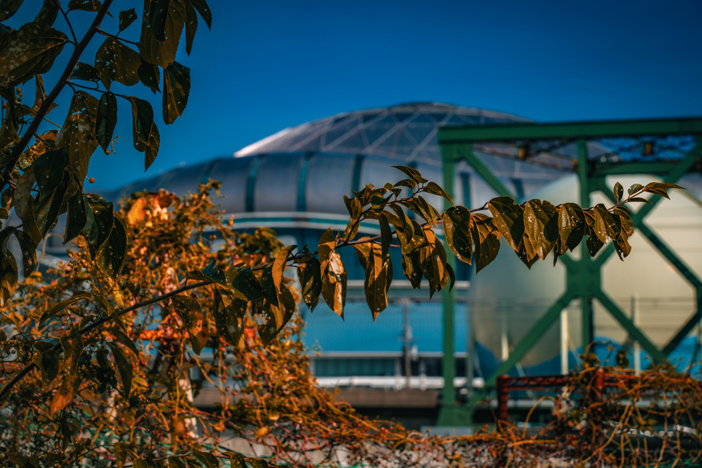 大阪大正地区徘徊記録