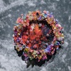 蜷川実花展