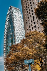 駆け巡る時をこえて