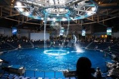 水族館徘徊記録