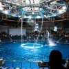 水族館徘徊記録