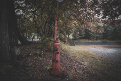 この街の風は思い出のかおり