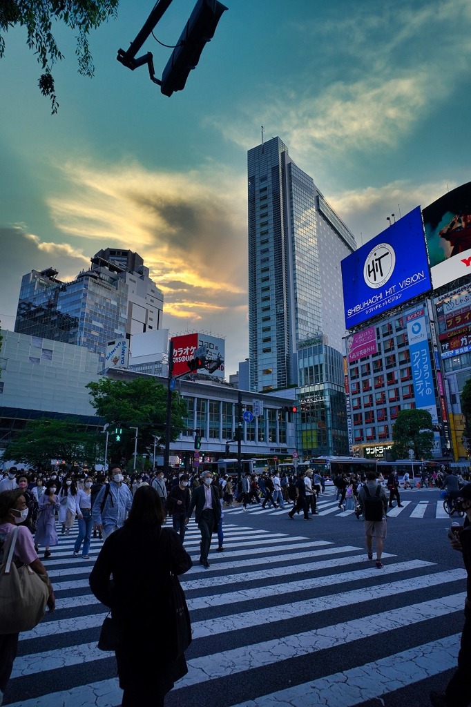 夕暮れ写真集