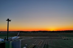 元旦の成田空港　（３）