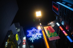 もう師走だわな