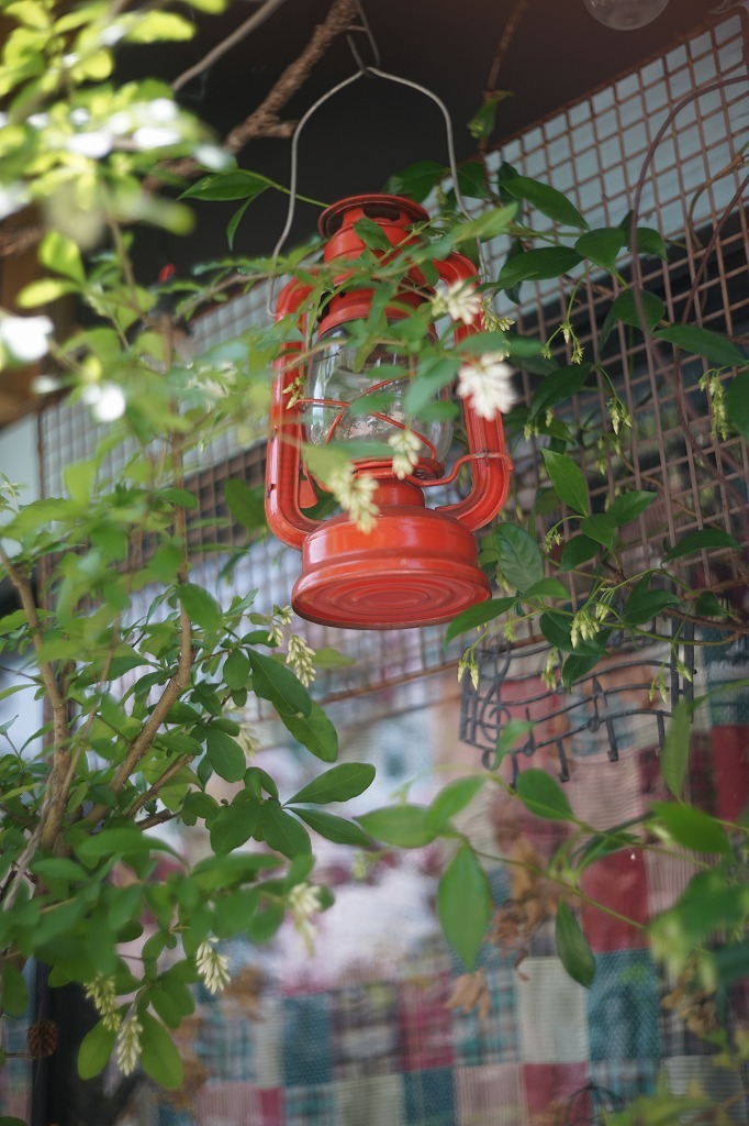 オールドレンズを楽しむ　（３）