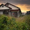 夕暮れ写真集