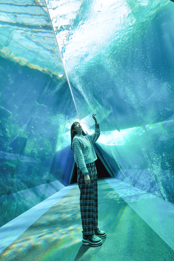 彼女たちの世界