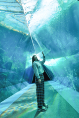 彼女たちの世界