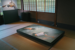 京都徘徊記録