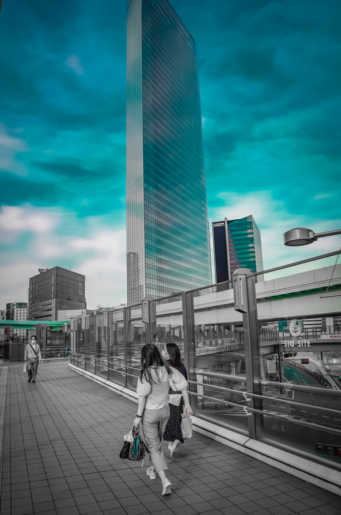 きっといつか来た道
