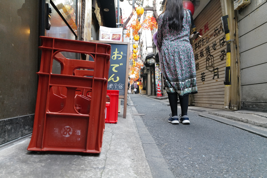 猫の目線ふたたび