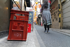 猫の目線ふたたび