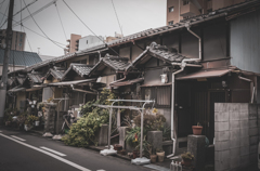思いっきり大阪へ