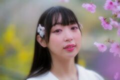 今年の桜は良いさくら