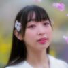 今年の桜は良いさくら