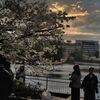 夕暮れ写真集