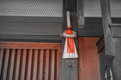 京都徘徊記録