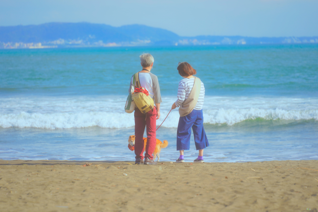 夏が去り、秋の入り口で