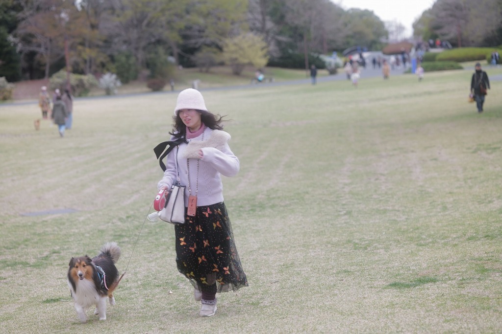 ただの通りすがり