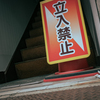 猫の目線
