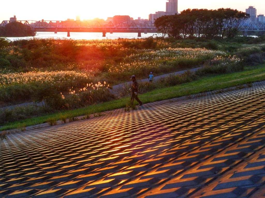 長閑な夕暮れ