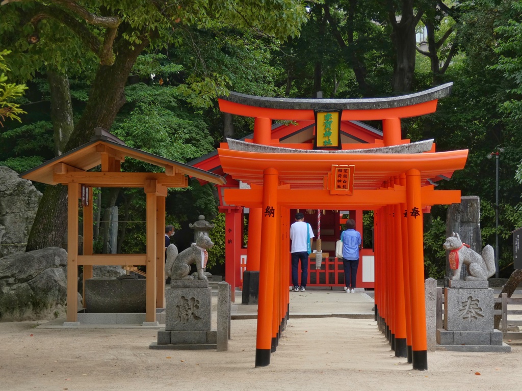 住吉神社⑤　祈りよ届け