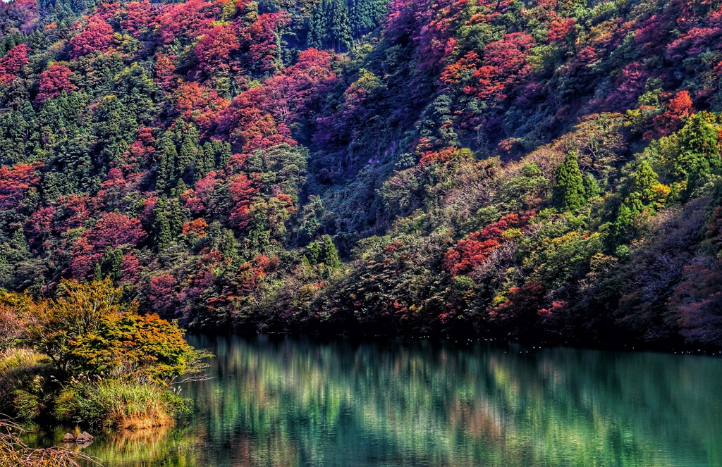 水辺の秋色