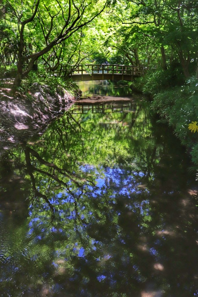 湯布院　金鱗湖④