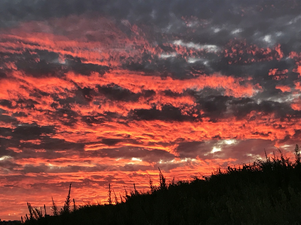 ♬　夕焼空が真っ赤っか