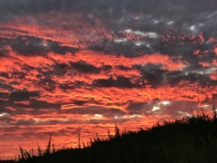 ♬　夕焼空が真っ赤っか