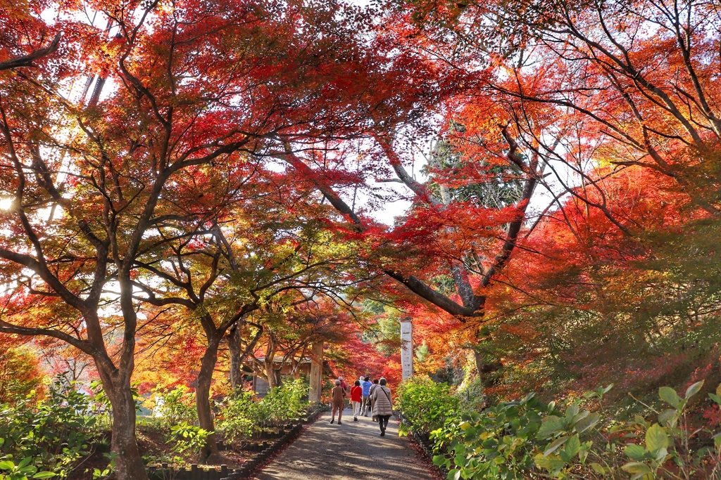 円通寺　参道