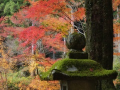 高蔵寺の紅葉
