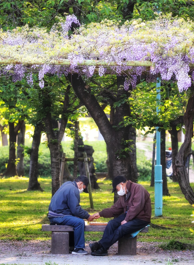 公園の棋士