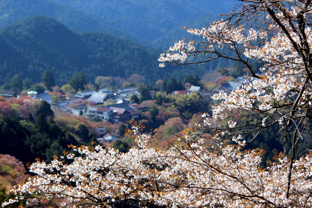 奈良吉野の街