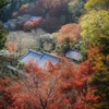 長谷寺の秋