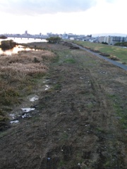 樹木伐採後の河川敷