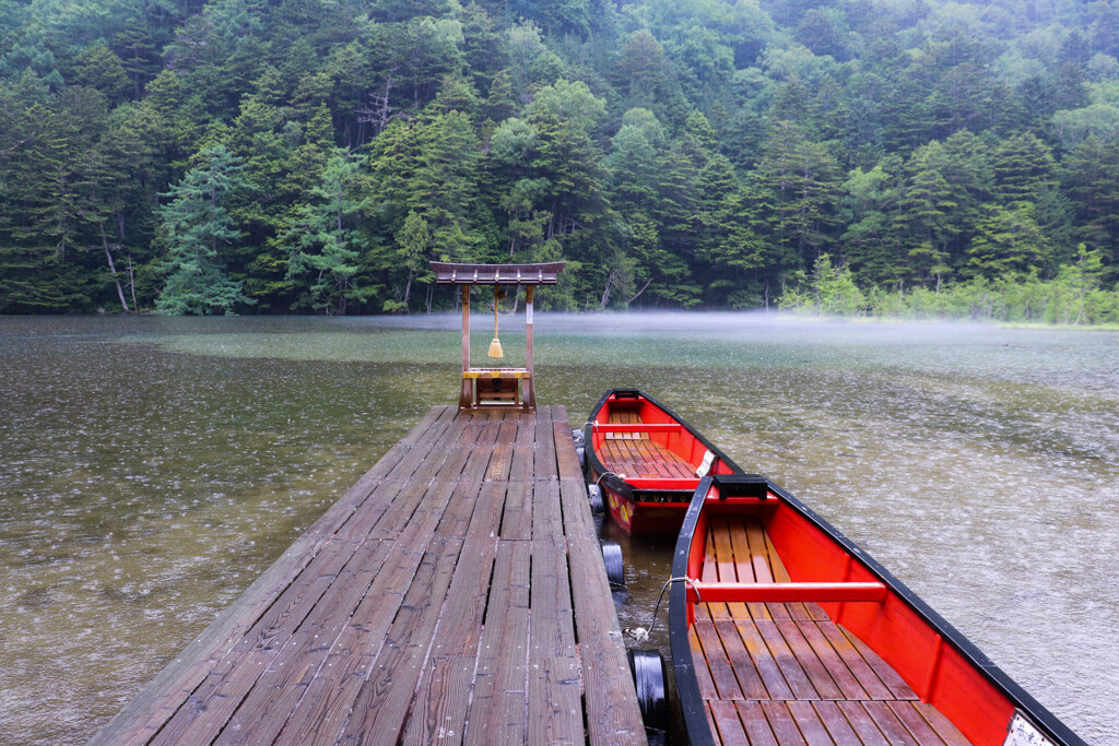 雨の明神池