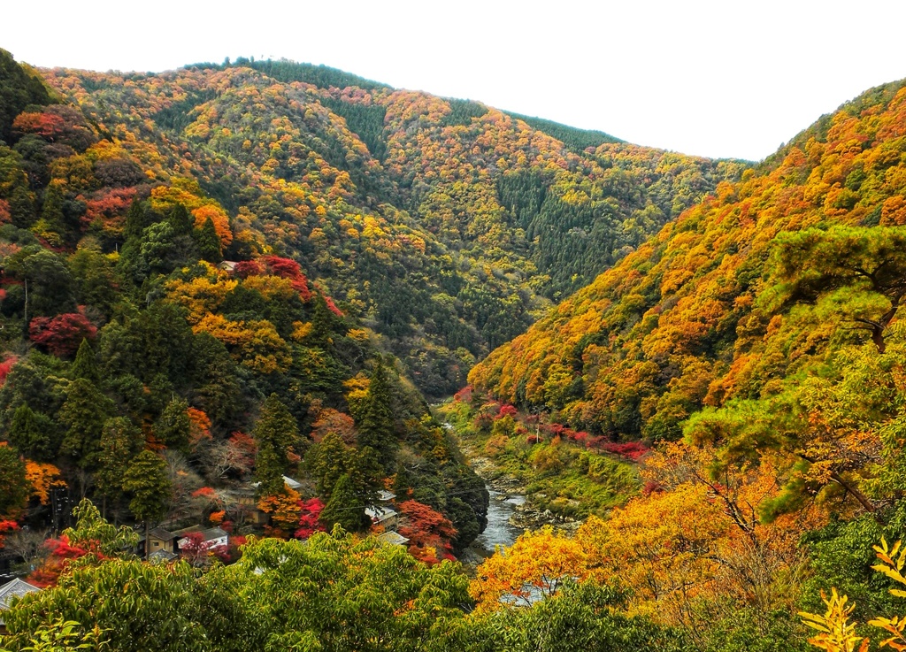 秋の嵐山