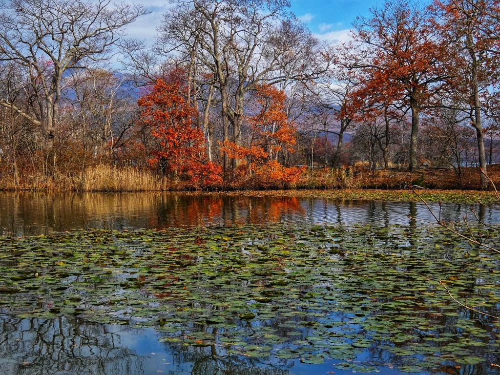 大沼国定公園