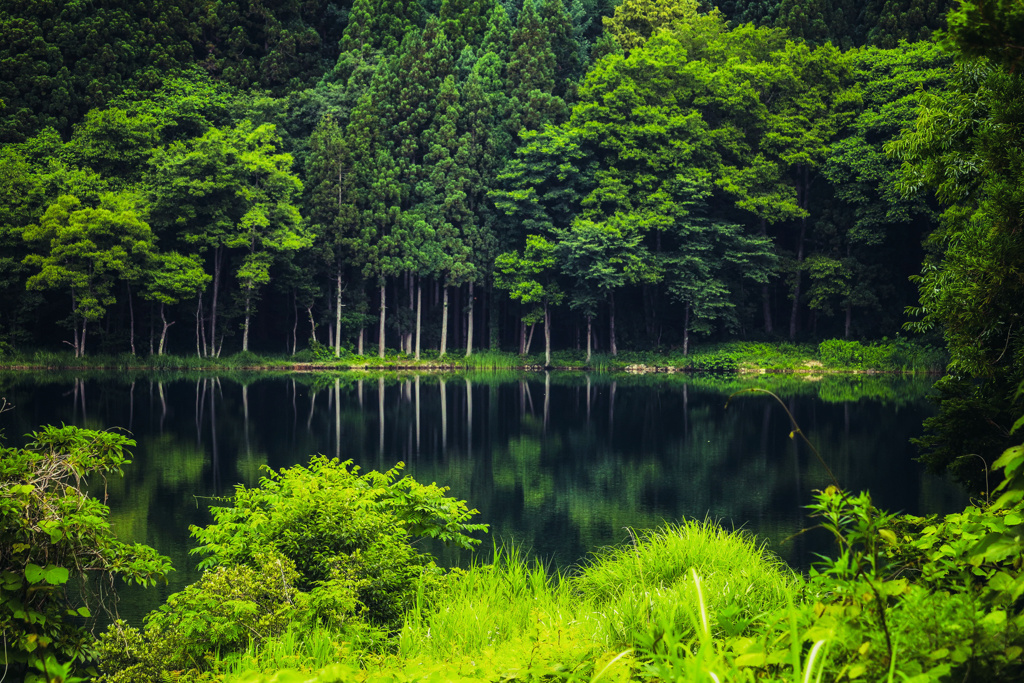 中綱湖