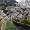 山科疏水