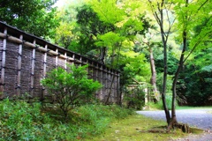 生け垣