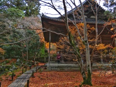 蓮花寺(２)